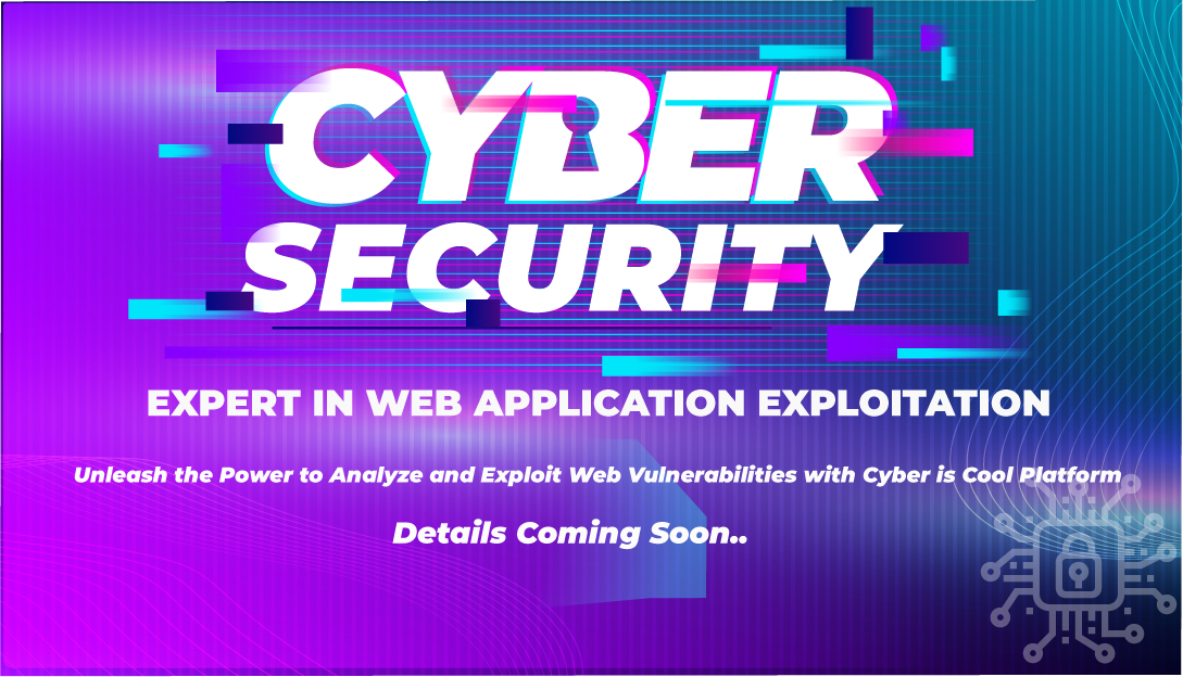 expert-in-web-application-exploitation